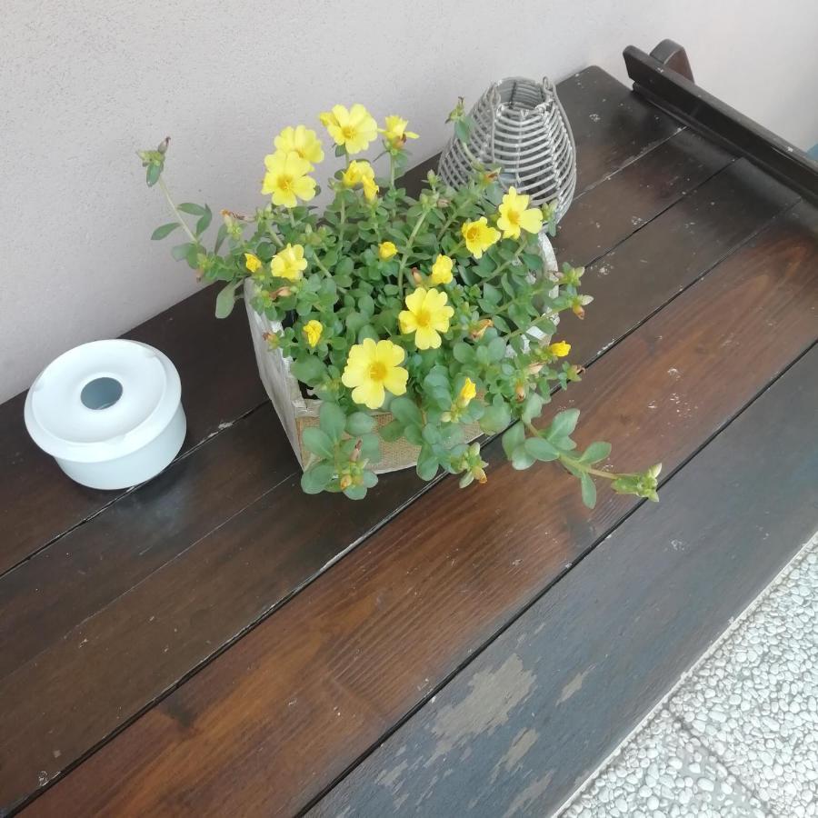 A&G Apartment Zanica المظهر الخارجي الصورة